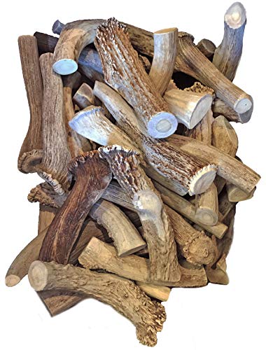WhiteTail Naturals XL Jumbo Premium Deer Antlers for Dogs