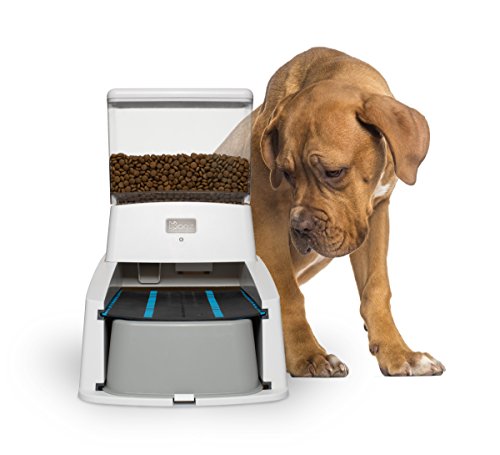 Wagz Smart Dog Feeder, Automatic Dog Food Dispenser