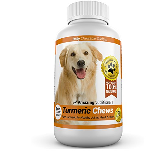 Amazing Turmeric for Dogs Curcumin Pet Antioxidant