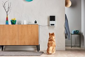 Petcube Bites Pet Camera with Treat Dispenser: HD 1080p Video Monitor