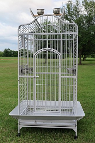 Wrought Iron Open/Close Dome Play Top Bird Parrot Cage