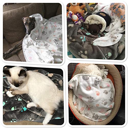 Allisandro Super Soft and Fluffy Dog Cat Puppy Blanket