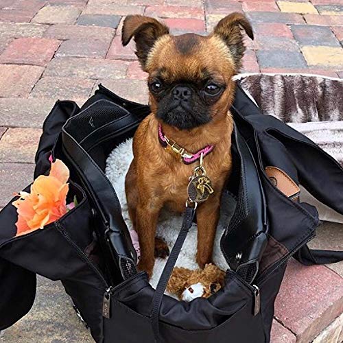 MISO PUP Black Sporty Tote Interchangeable Airline Approved Pet