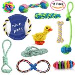 Dog Toys Pack 11 | Large And Small Dog Toys