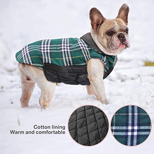 IREENUO Pet Dog Jackets Windproof Warm Coats Review