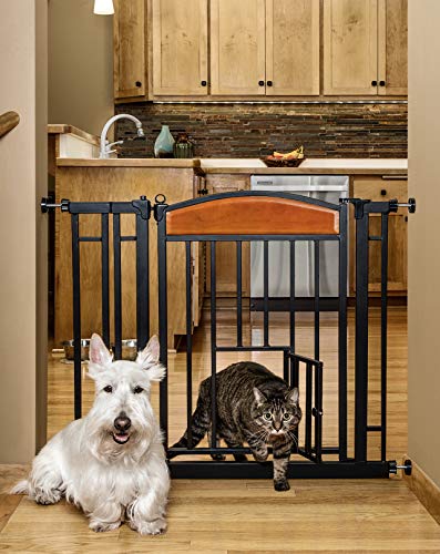 Carlson Pet Products Design Studio Home Decor