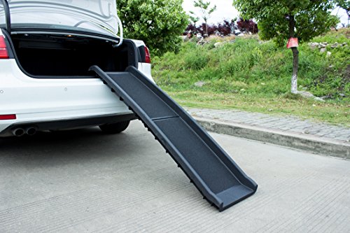 Good Life Bi-fold Black Non-Skid Pet Ramp Ladder