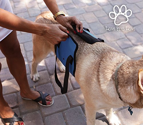 Large Blue Dog Lift Support Harness canine aid