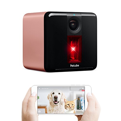 Petcube Play Smart Pet Camera with Interactive Laser Toy