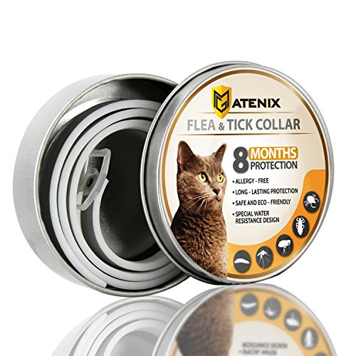ONMOG Flea and Tick Prevention Collar for Cat