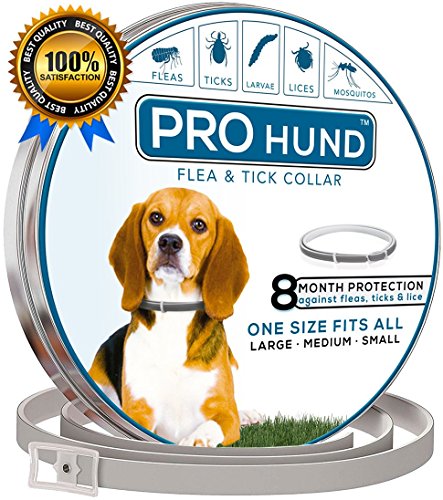 PROhund Flea Collar for Dogs - 8 Months Protection