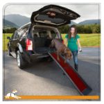 Kurgo Wander Collapsible Dog Ramp, Tri Fold Ramp for Pets