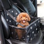 C&D Car Booster Seat for Dog, Folding Pet Car Seats