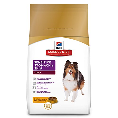 Hill'S Science Diet Adult Sensitive Stomach & Skin Dog Food