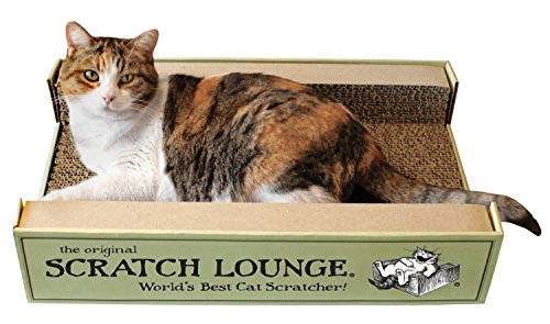 Worlds Best Cat Scratcher - Includes Catnip