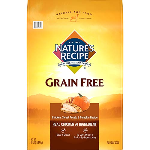 Grain Free Easy To Digest Dry Dog Food