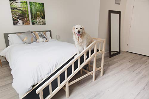 Gentle Rise Dog Bed Ramp | 74