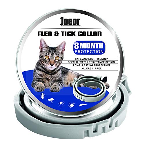 JOEOR Flea Collar for Cats - Long-Lasting Flea