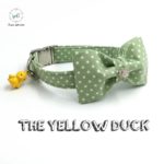 the green dot dog collar with bow tie and bell