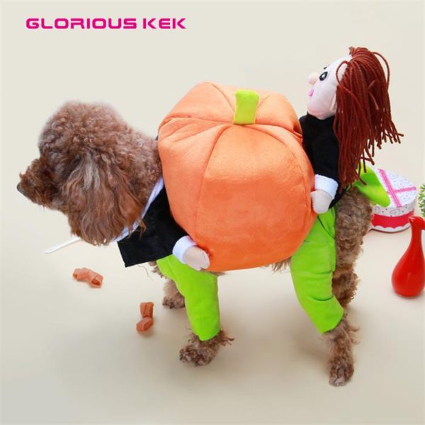 GLORIOUS KEK Funny Dog Costume Halloween Pumpkin