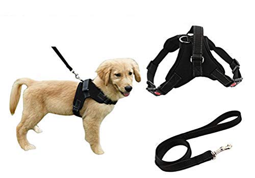 Heavy Duty Adjustable Pet Puppy Dog Safety Harness