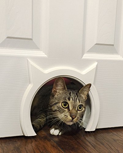 The Kitty Pass Interior Cat Door Hidden Litter Box Pet Door