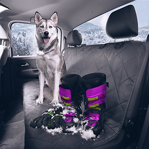 Dog Seat Cover – Pet Seat Cover for Protecting your Rear