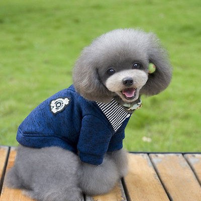Little Dog Warm Clothes Cute Puppy Shirt