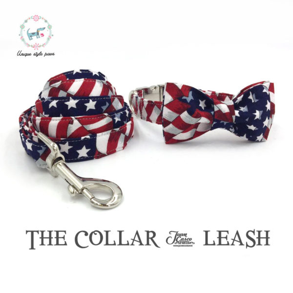 the stars and stripes dog collar and leash set