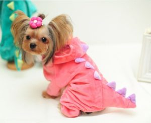 Funny Dog Clothes Pet Dragon Puppy Coat