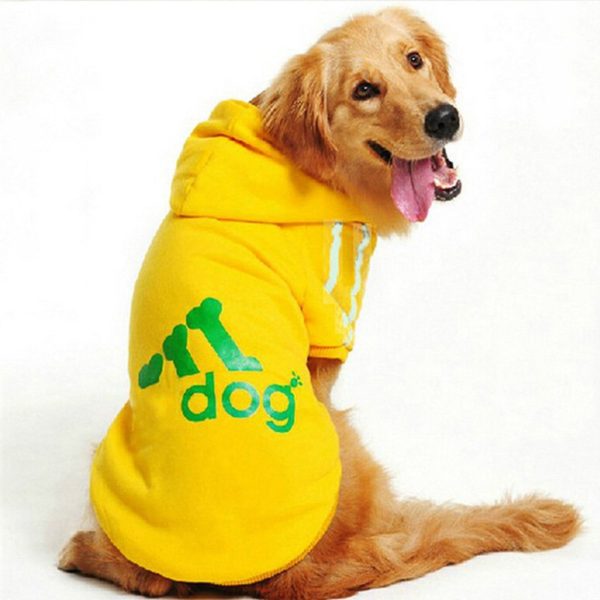 Big Dog Clothes for Golden Retriever Dogs