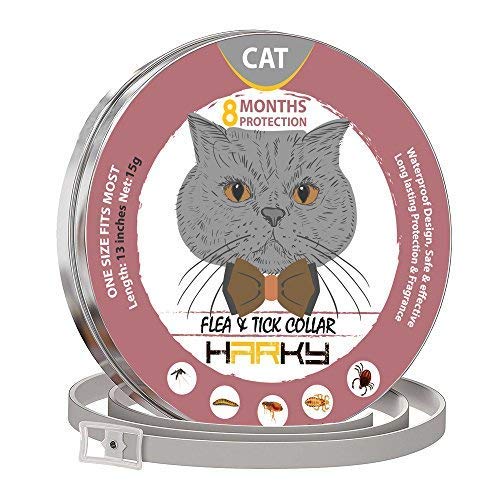 GORAUL Flea and Tick Collar for Cats - 8 Months Protection