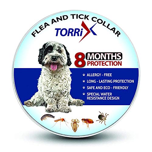 TORRIX Dog Collar - 8-Month Flea Medicine
