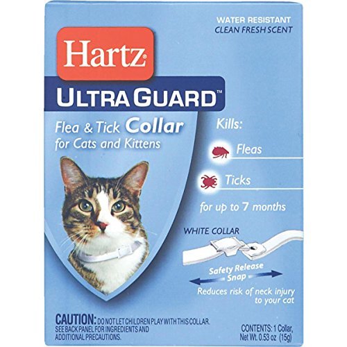 Hartz UltraGuard Flea & Tick Cat and Kitten Collar