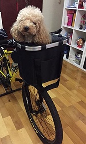 Crazystone's Dog Outdoor Travel Foldable Bicyle