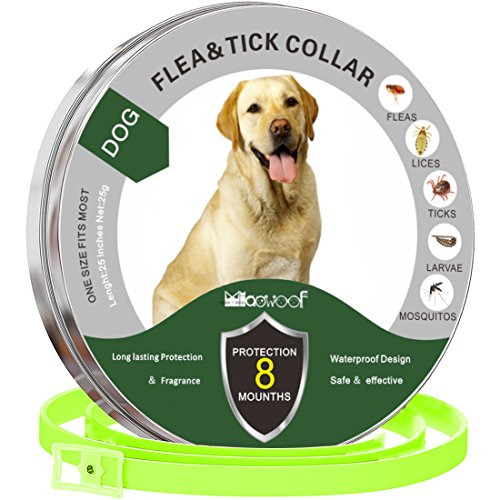 Solacium Flea and Tick Prevention for Dogs