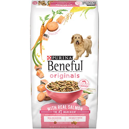 Originals With Real Salmon Adult Dry Dog Food
