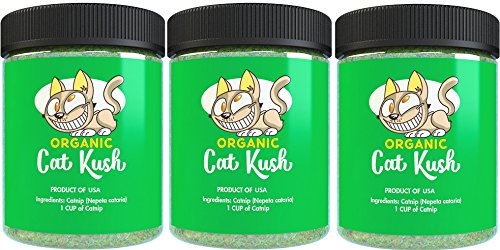 Cat Kush Organic Catnip by, Safe Premium Blend