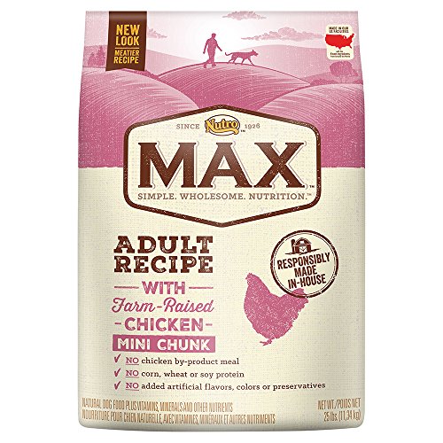 Nutro Max Adult Mini Chunk Dry Dog Food