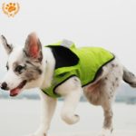 My Pet Autumn/Winter Warm Waterproof Clothes