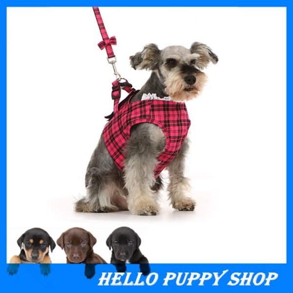 New 2017 Hot Pet Dog Collar Leash Dog