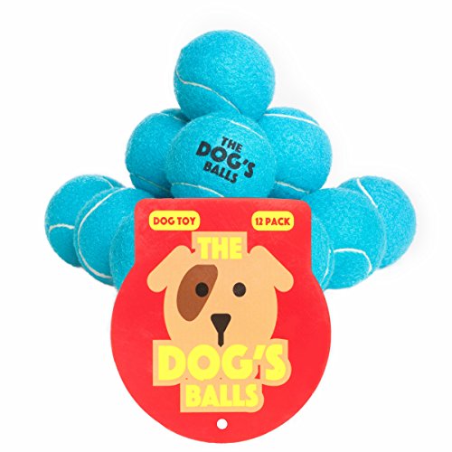 The Dog's Balls 12 Premium Blue Dog Tennis Balls
