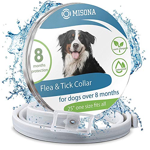 Flea collar | Flea and tick prevention for dogs