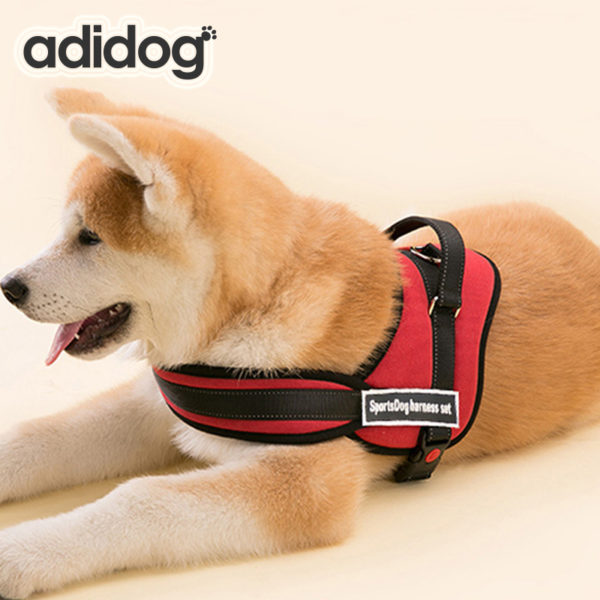 Best Quality Pet Dog harness Pet dog Chain leash