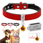 Customized Padded Dog Collar Personalized Cat