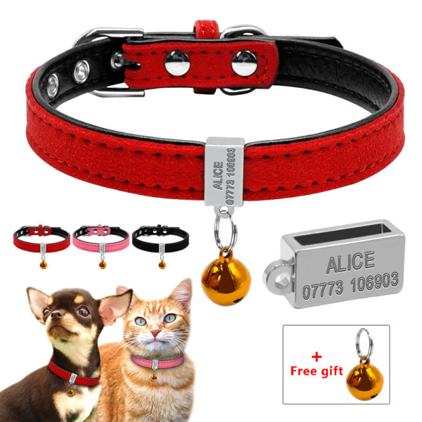 Customized Padded Dog Collar Personalized Cat