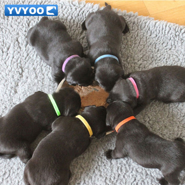 YVYOO Puppy ID Identification Collars Adjustable