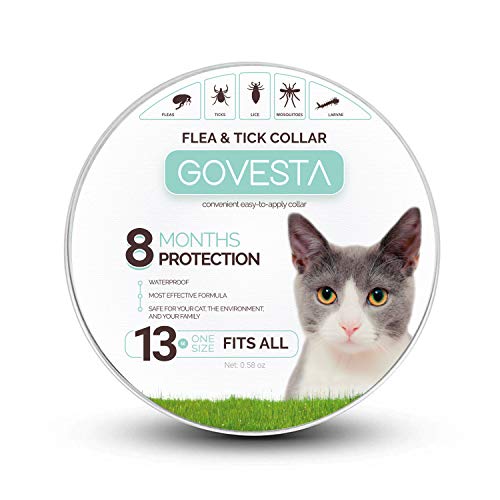Govesta Collar for Cats - Control and Treatment for Cats
