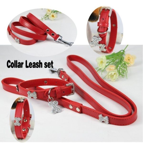 Pet Dog Collar Leash Perro Collar Lead for small big Dog