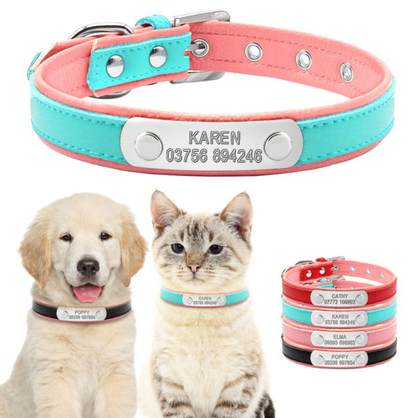 Personalized Leather Dog Collars Adjustable Padded